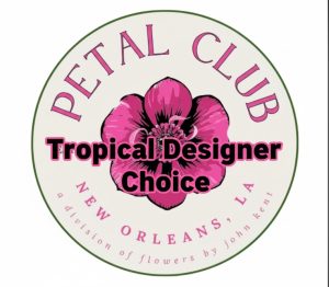 Modern Tropical Special Designer's Choice
