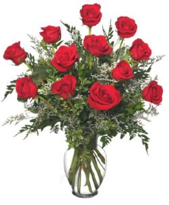 Classic "Red" Dozen