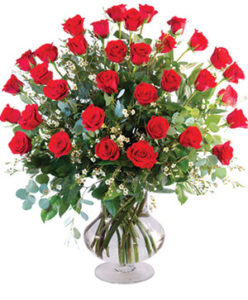 36 Roses "Roses of Love"