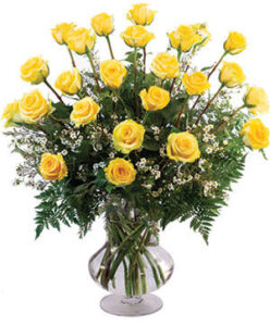 Golden Glow "24 Yellow Roses"